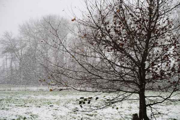 xaver lässt grüßen 2