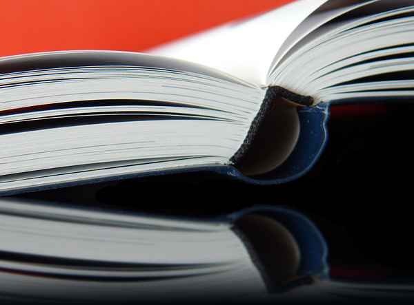 Bücher lesen ......
