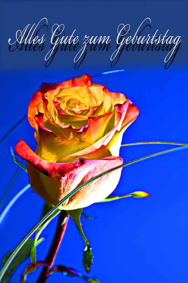 alles gute zum geburtstag