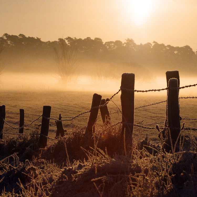 Gefrorene Landschaft