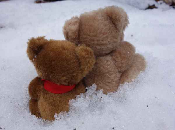 Kuschliger Winter :-)