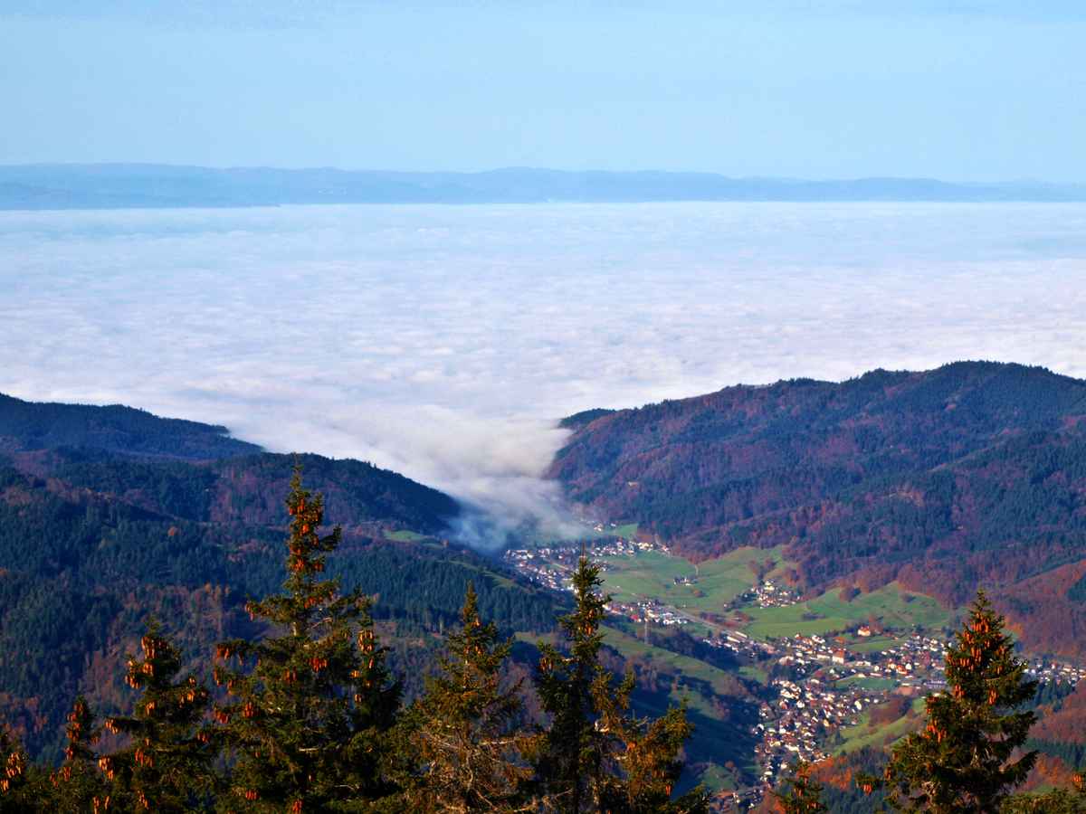 Der Nebel zieht ins Tal