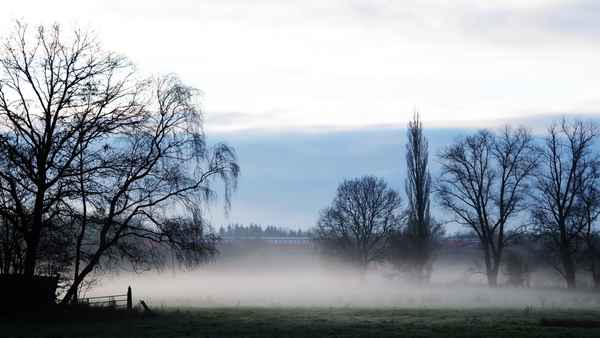 fahrt durch den nebel