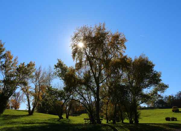 Kaiserwetter in Wien 04