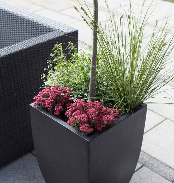 Pflanzbehälter auf Terrasse