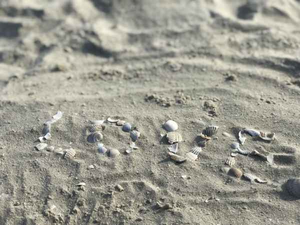 Love: aus Muscheln am Strand / Foto: Alexander Hauk