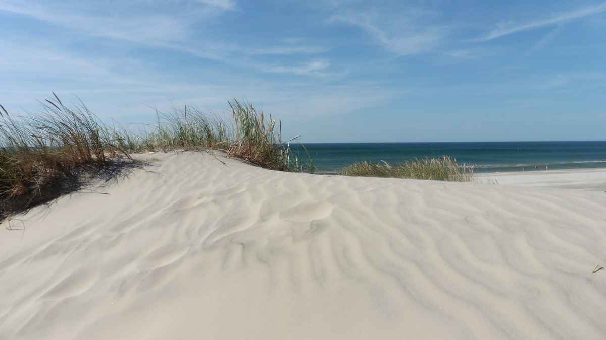 Düne bei Blokhus