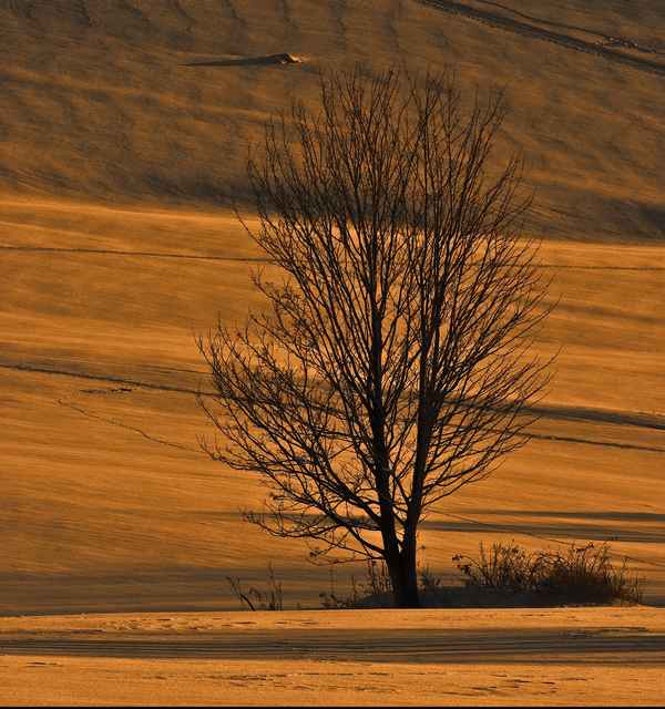 Schnee oder Sandwüste?