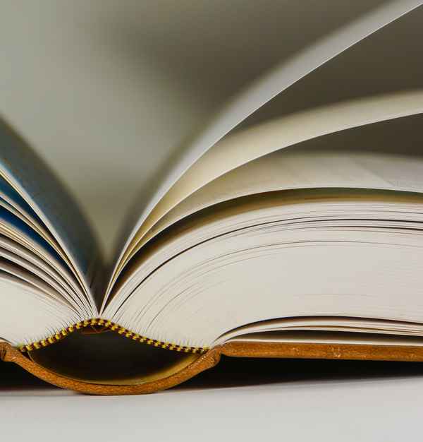 Lesestoff für Wissbegierige 7 (Quadrat)