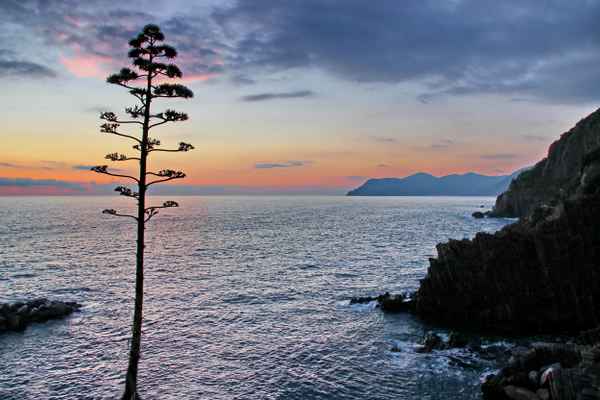 Abendstimmung am Meer