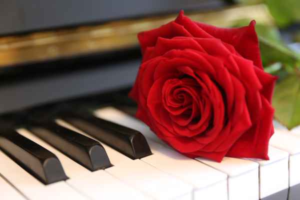Piano Love