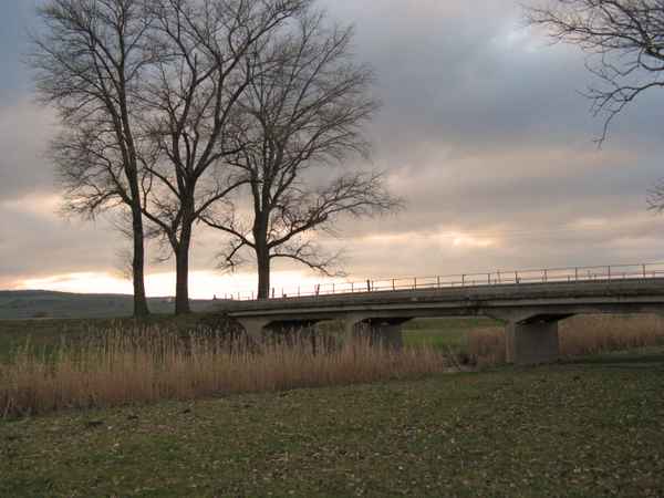 Seitenkanal der Unstrut 4