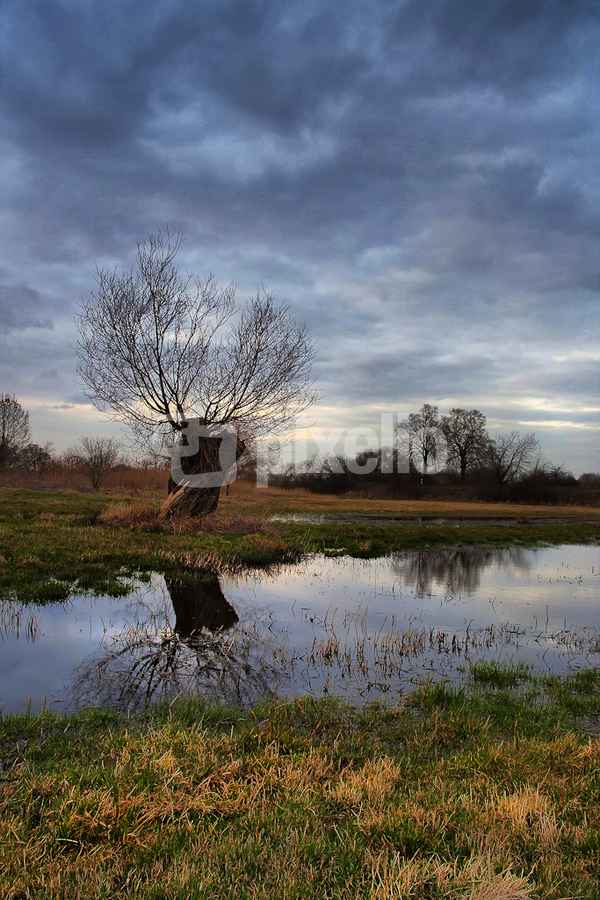 Spiegel der Natur
