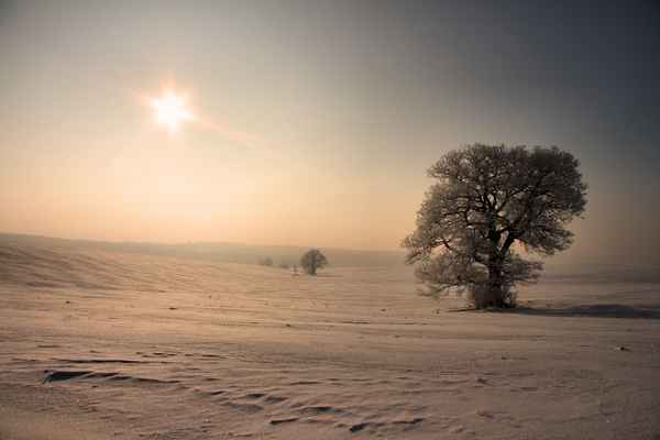 Minus 15 Grad oder Eiswüste