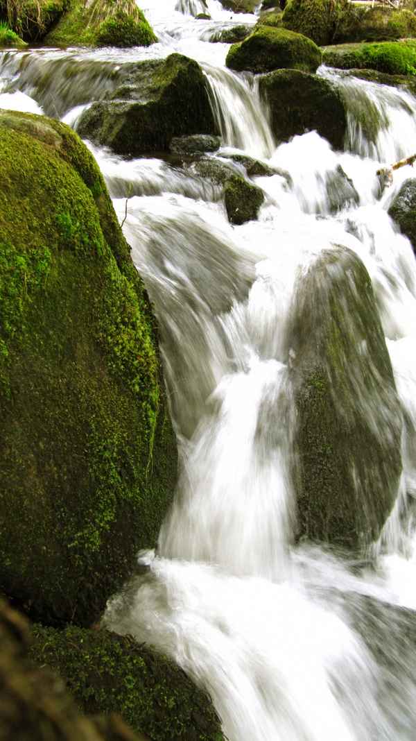 Wasserfall in Triberg_1