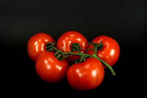 Tomaten 64