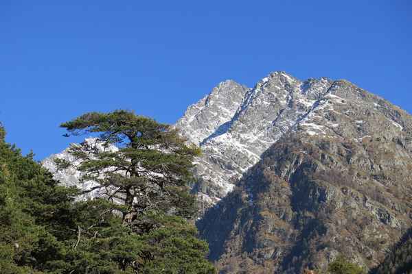 Bietschhorn, Wilerhorn, Hogleita