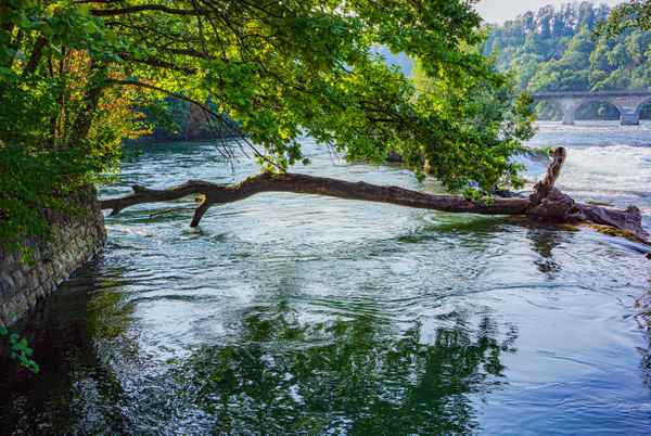 Rhein vor dem Fall