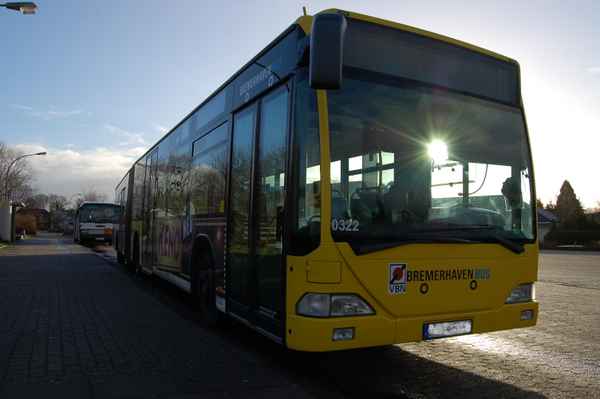 Bus