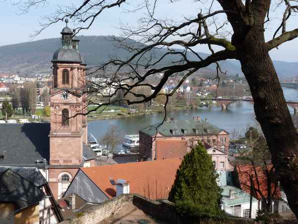 Miltenberg am Main