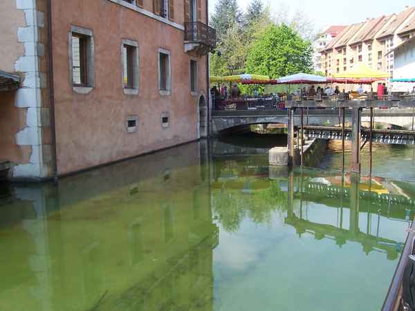 Markt auf der Brücke in Annecy