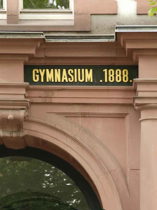 Gymnasium