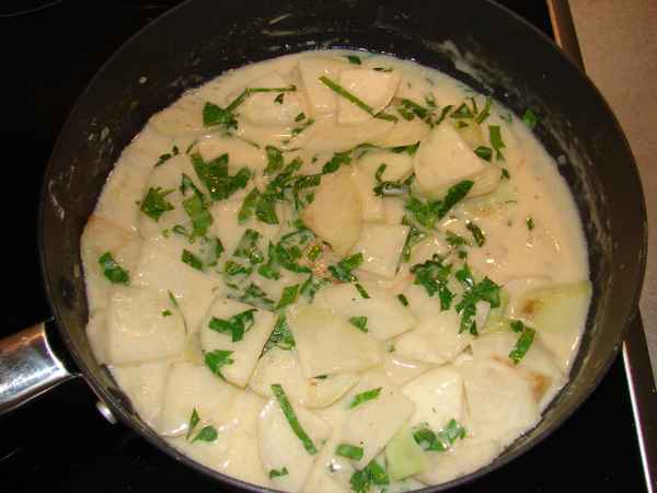 Kohlrabi