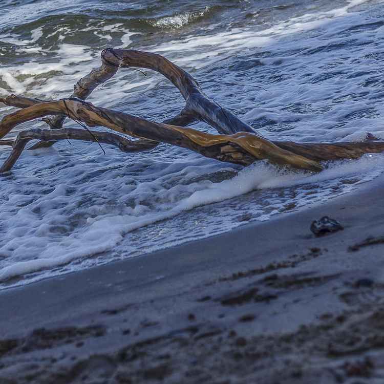 An der Ostsee