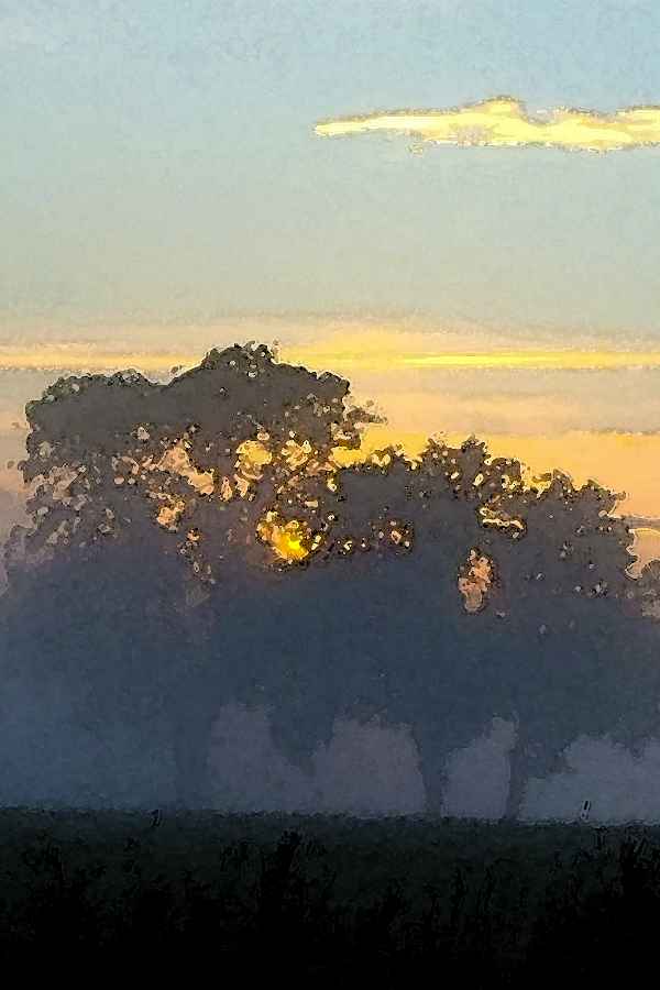 Sommermorgen