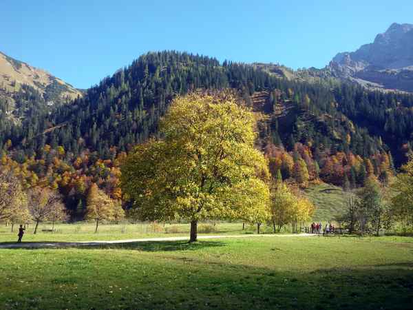 Prachtvoller Herbst in der Eng-Alm
