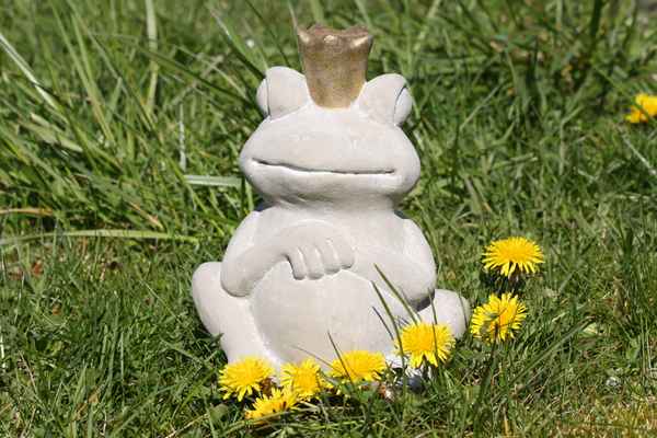 Froschkönig im Gras