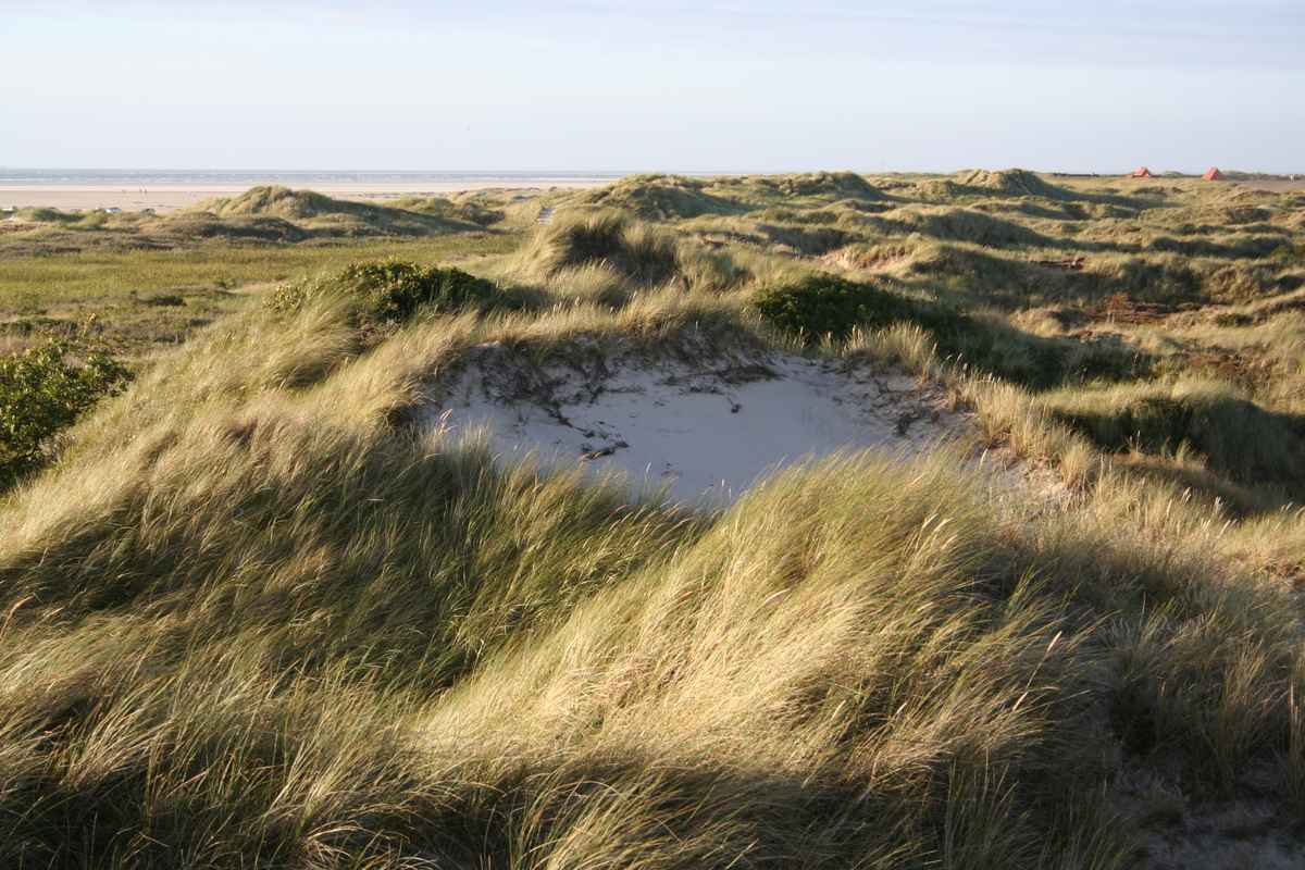 Dünen