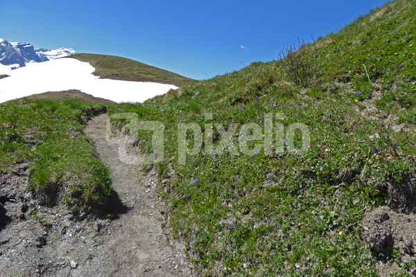 Die letzten Schritte vor dem Pass