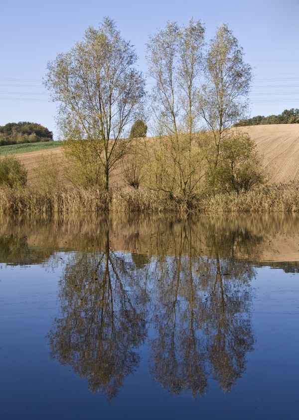 Herbst am See