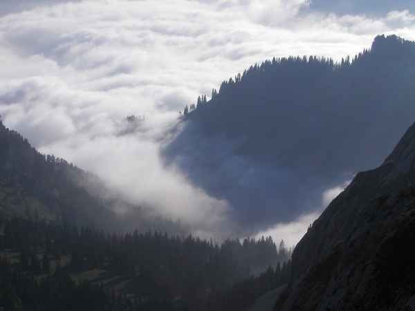 Nebelmeer