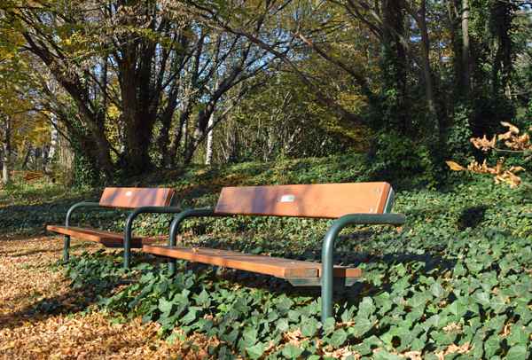 Herbstspaziergang im Kurpark Oberlaa 08
