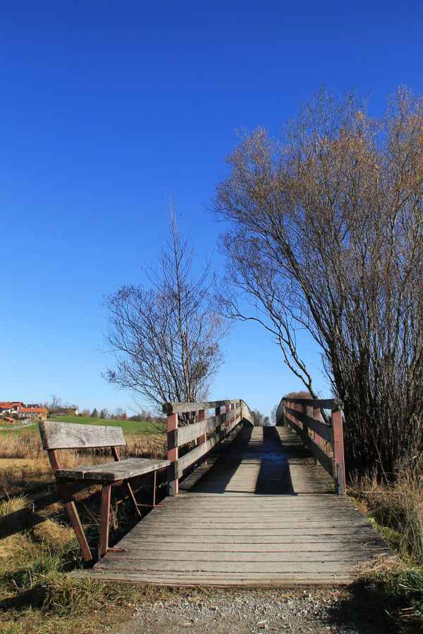Moosübergang mit Sonnenbank