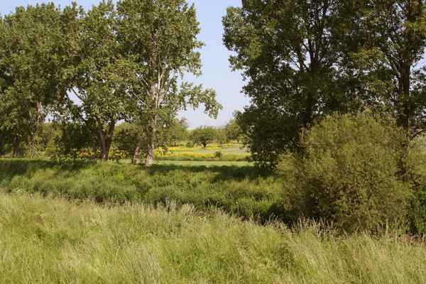 An der Unstrut