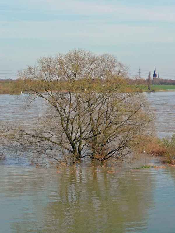 Nasse Füße