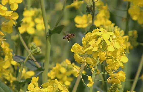 Nun beginnt die Arbeit