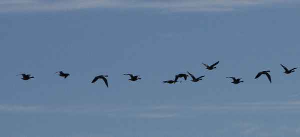 Auf dem Weg nach Norden