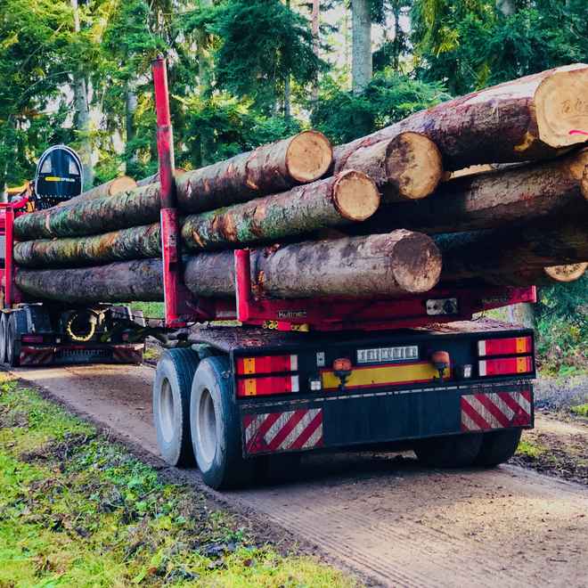 Langholztransporter im Wald