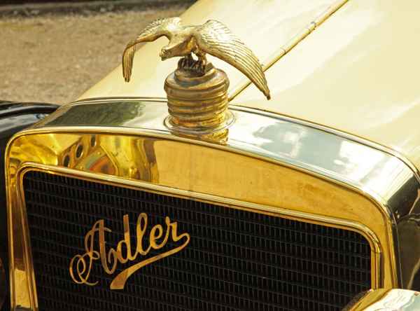 Adler