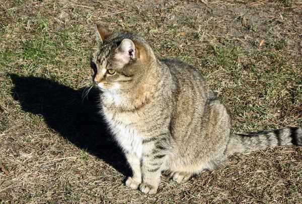 ein bisschen sonnen...