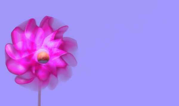 frischer Wind_3