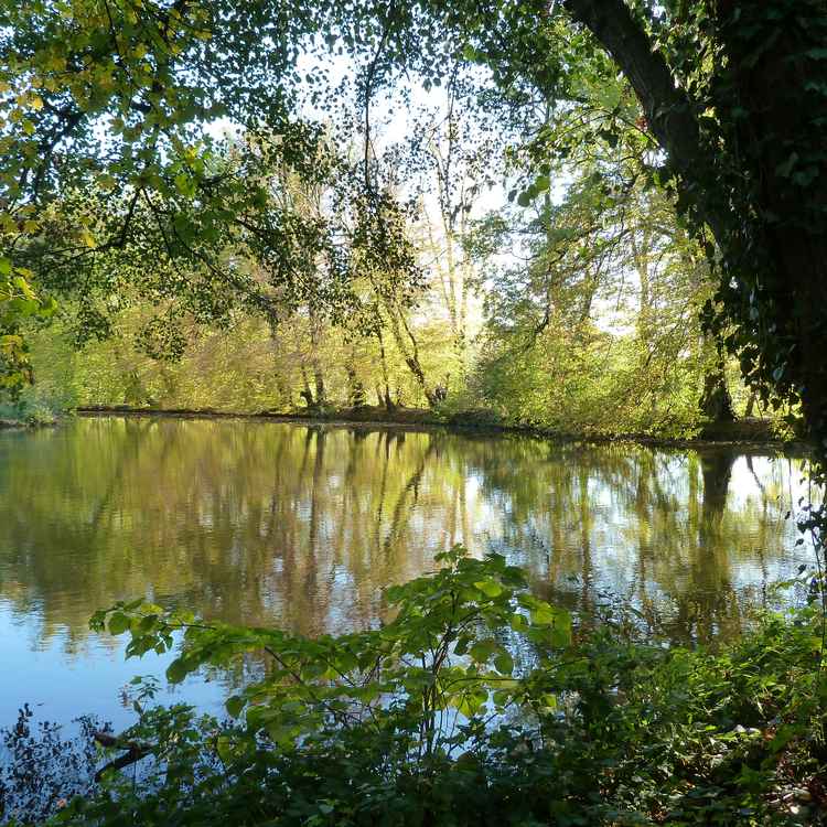Herbststimmung 2
