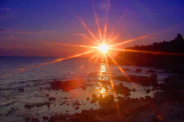sonnenstern