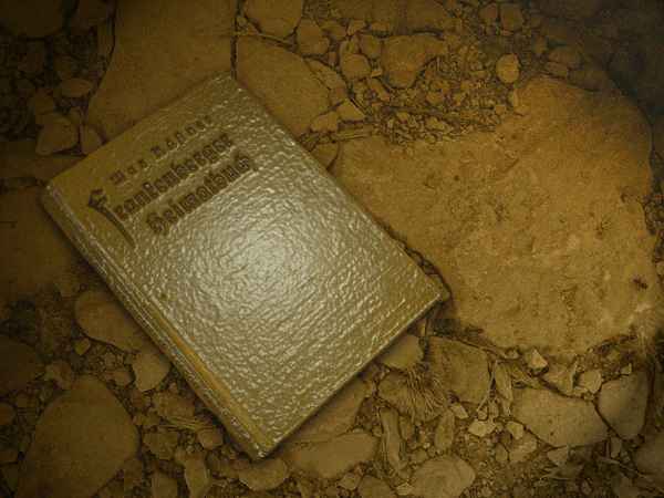Das Buch