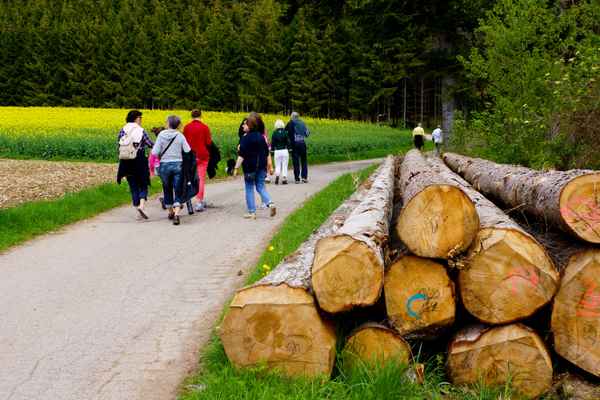 Wandergruppe mit Baumstämmen
