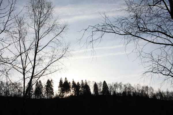 Dämmerung
